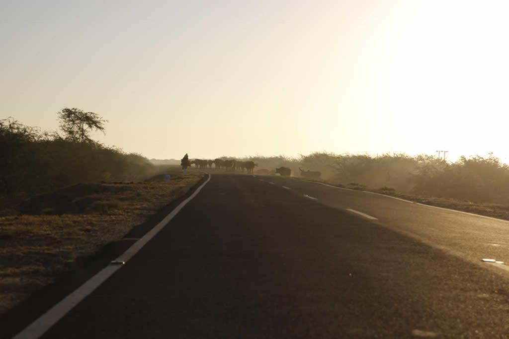 Rann Visamo Resort Bherandiala Luaran gambar